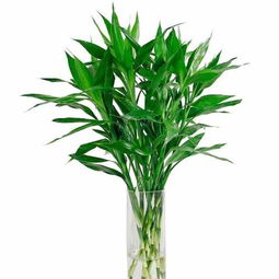 上海鲜花礼品网 引领城市风尚，传递精致情感