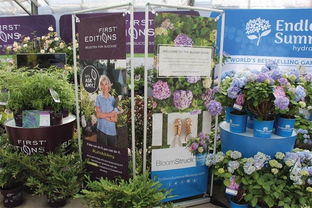 解锁新增长点 三大策略提升礼品花卉零售竞争力