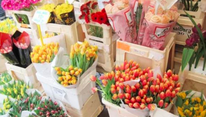 铁西鲜花店 用花卉礼赠传递情感的温度与美好