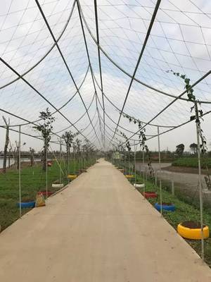 高新区(江海区)即将迎来500亩生态乐园，开启休闲新体验